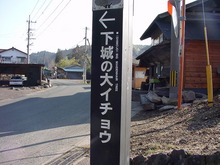 DSC02357.jpg
