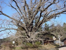DSC02360.jpg