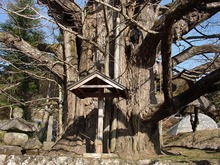 DSC02363.jpg