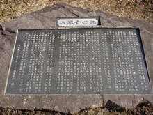 DSC02368.jpg