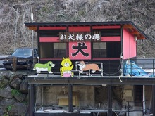 DSC02424.jpg