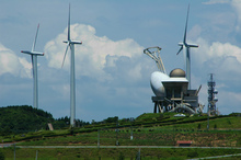 DSC_0194.jpg