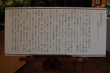 DSC_0366.jpg