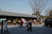 DSC_0629.jpg