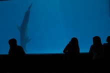 DSC_1016.jpg