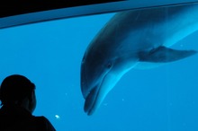 DSC_1020.jpg