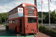 DSC_1175.jpg