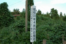 DSC_1239.jpg