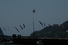 DSC_4868.jpg