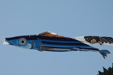 DSC_4886.jpg