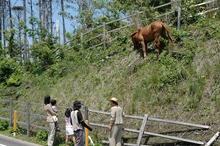 DSC_4924.jpg