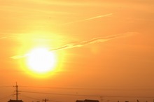 DSC_4956.jpg