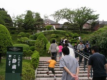 P1010066.jpg
