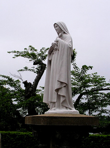 P1010075.jpg