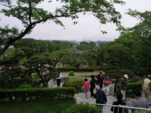 P1010082.jpg