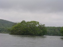 P1010093.jpg
