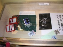 P1010119.jpg