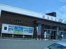 P1010136.jpg