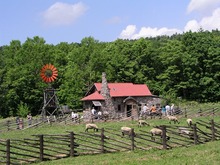 P1010146.jpg