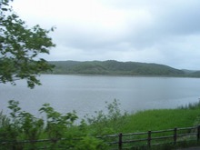 P1010269.jpg
