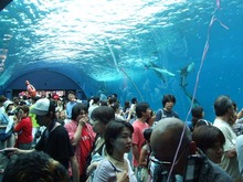 DSCF0241.jpg
