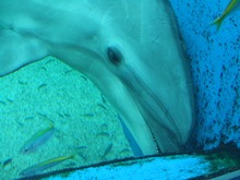 DSCF0253.jpg