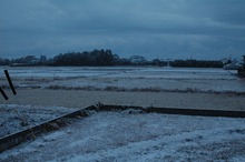 DSC_8512.jpg