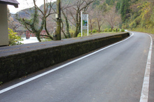 _MG_7932.jpg