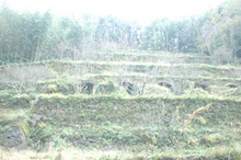 DSC_3798.jpg