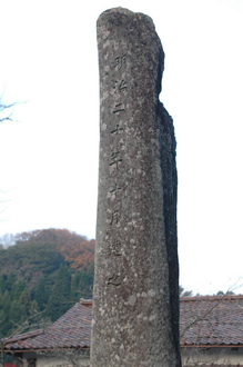 DSC_3834.jpg