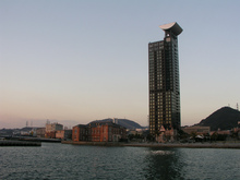 P1010169.jpg