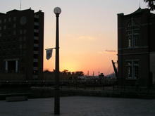 P1010186.jpg