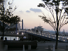 P1010204.jpg