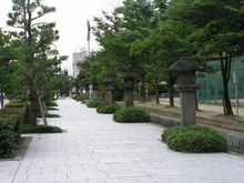 P1010233.jpg