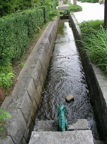 P1010246.jpg