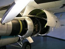 P1010275.jpg