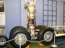 P1010287.jpg