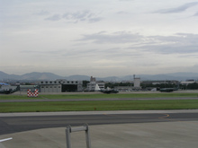 P1010329.jpg