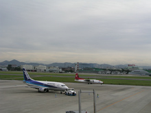 P1010332.jpg