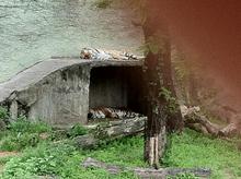 th_IMG_0782.jpg