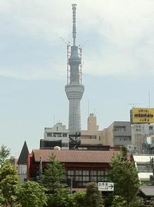 th_IMG_0798.jpg