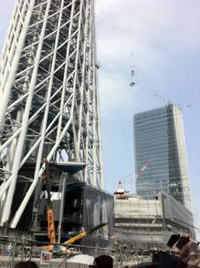 th_IMG_0814.jpg