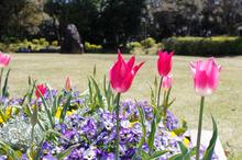 th__MG_9201.jpg