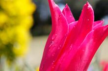 th__MG_9204.jpg