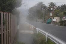 th__MG_9224.jpg
