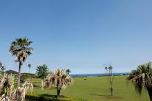 th__MG_9484.jpg