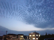 IMG_3795.jpg