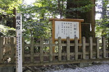 _MG_0327.JPG